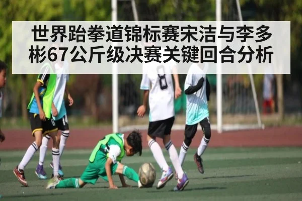世界跆拳道锦标赛宋洁与李多彬67公斤级决赛关键回合分析 - 6686 sports betting